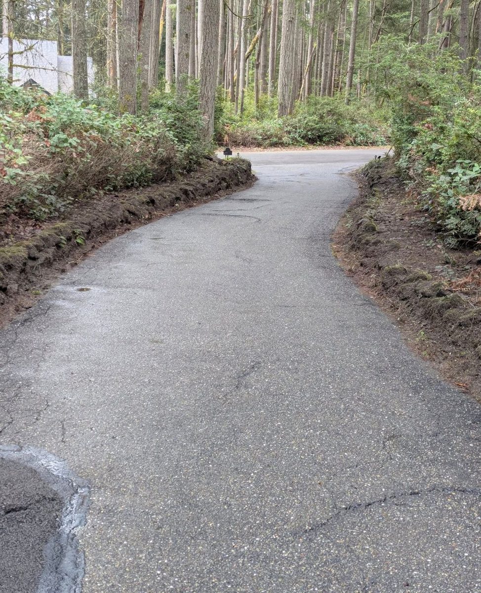 Driveway after pressure washing, moss removed