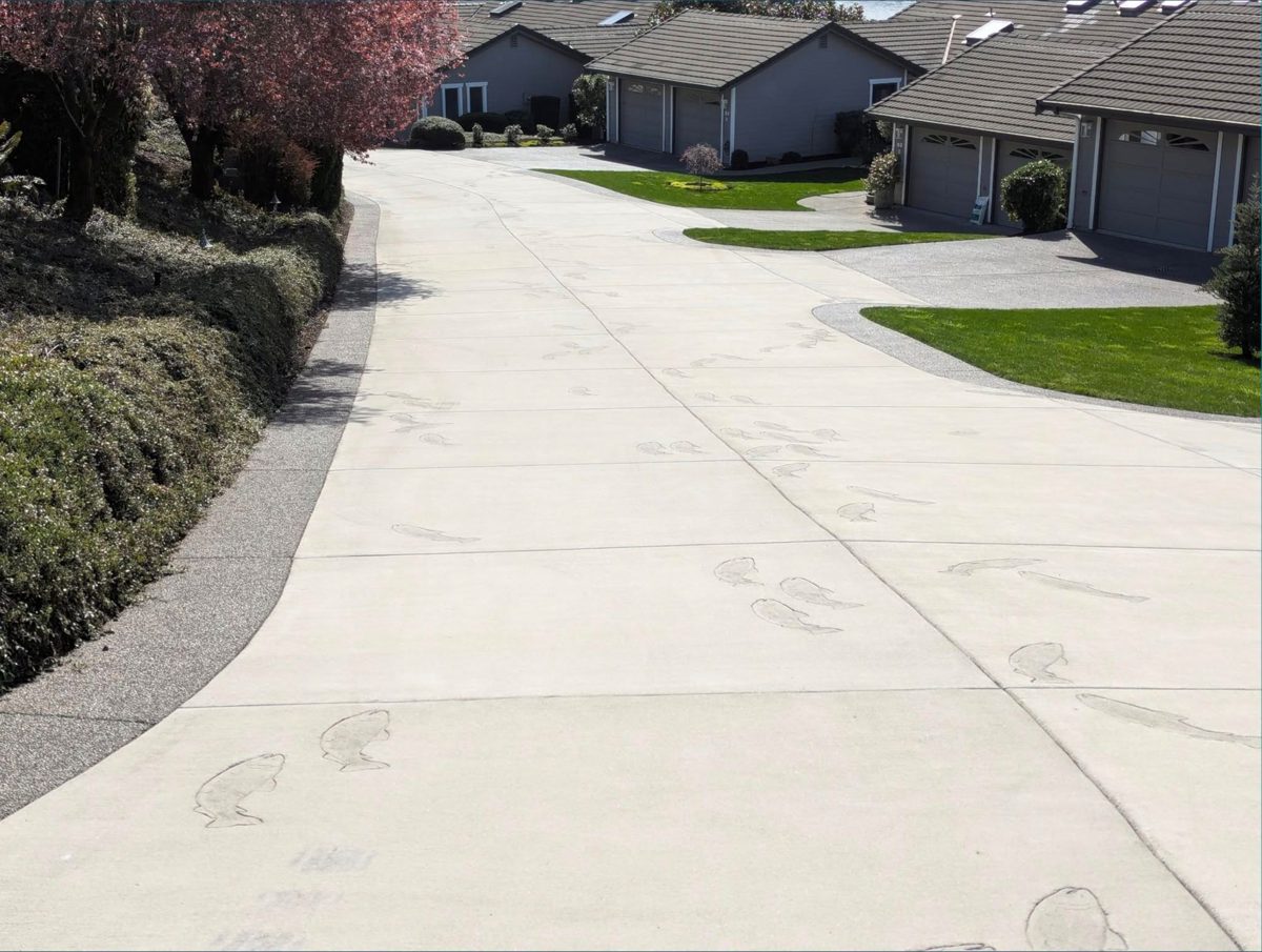 Freshly pressure-washed concrete driveway at a waterfront condo